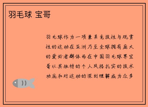 羽毛球 宝哥