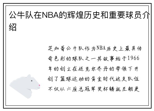 公牛队在NBA的辉煌历史和重要球员介绍